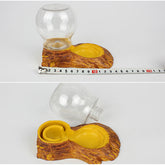 Reptile Water Dish Automatic Water Feeder Dispenser for Snake Tortoise Crickets Crabs Turtle Gecko Pet Yard Lizard Frog Feeding Water Bowl